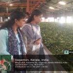 Industrial Visit to Masco Tea Estate