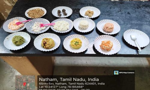 Fireless Cooking – Competition